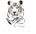 Tiger SMS logo